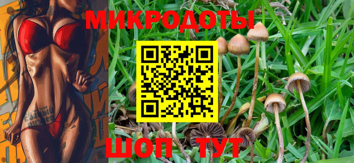 Зима  Псилоцибиновые грибы мухоморы  Вход с VPN 