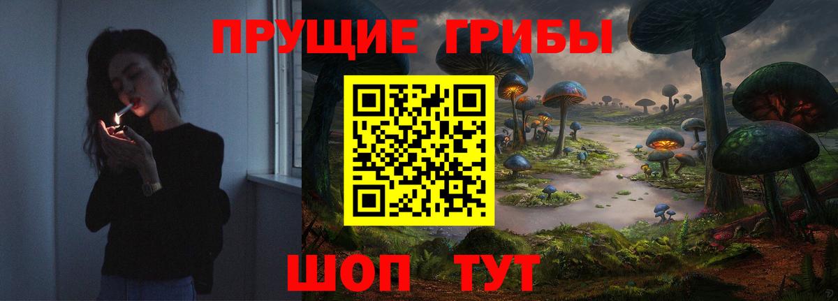 Галлюциногенные грибы мицелий Зима